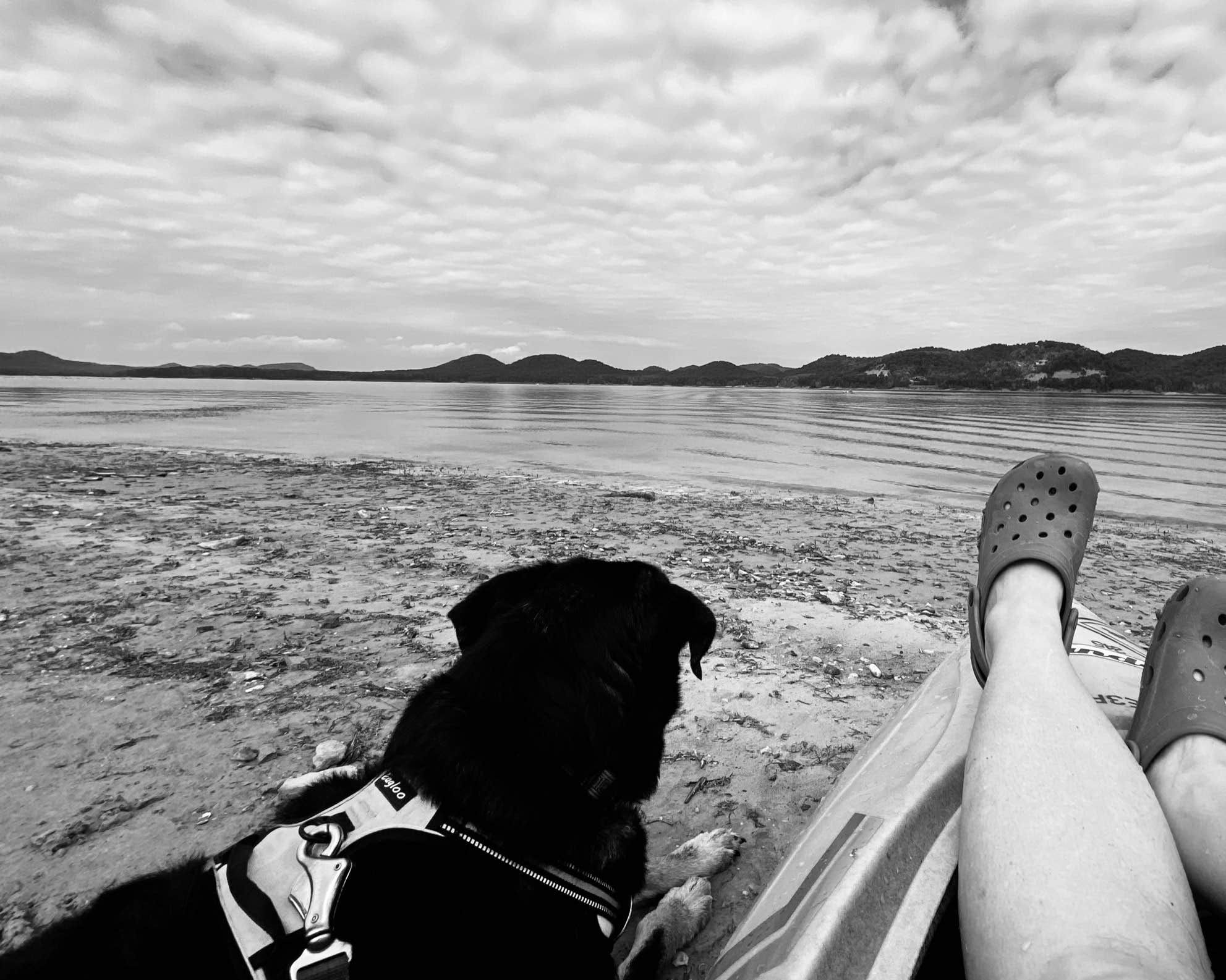Shannon G.'s photo of camping with pets at Zilpo Campground near Grayson Lake