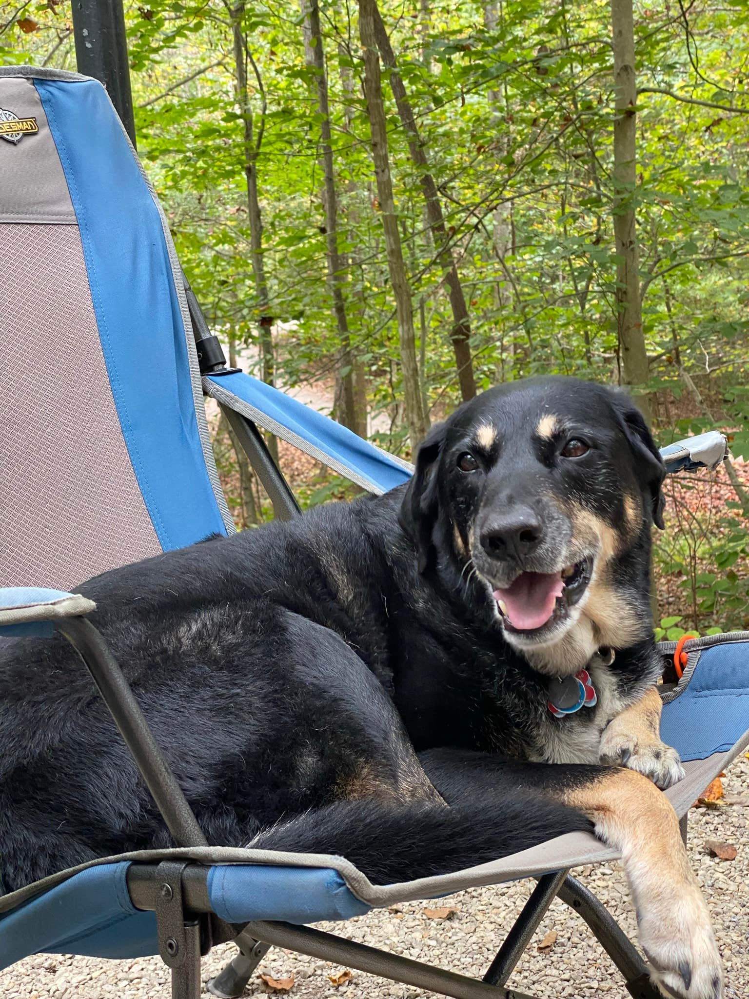 Shannon G.'s photo of camping with pets at Zilpo Campground near Grahn, KY