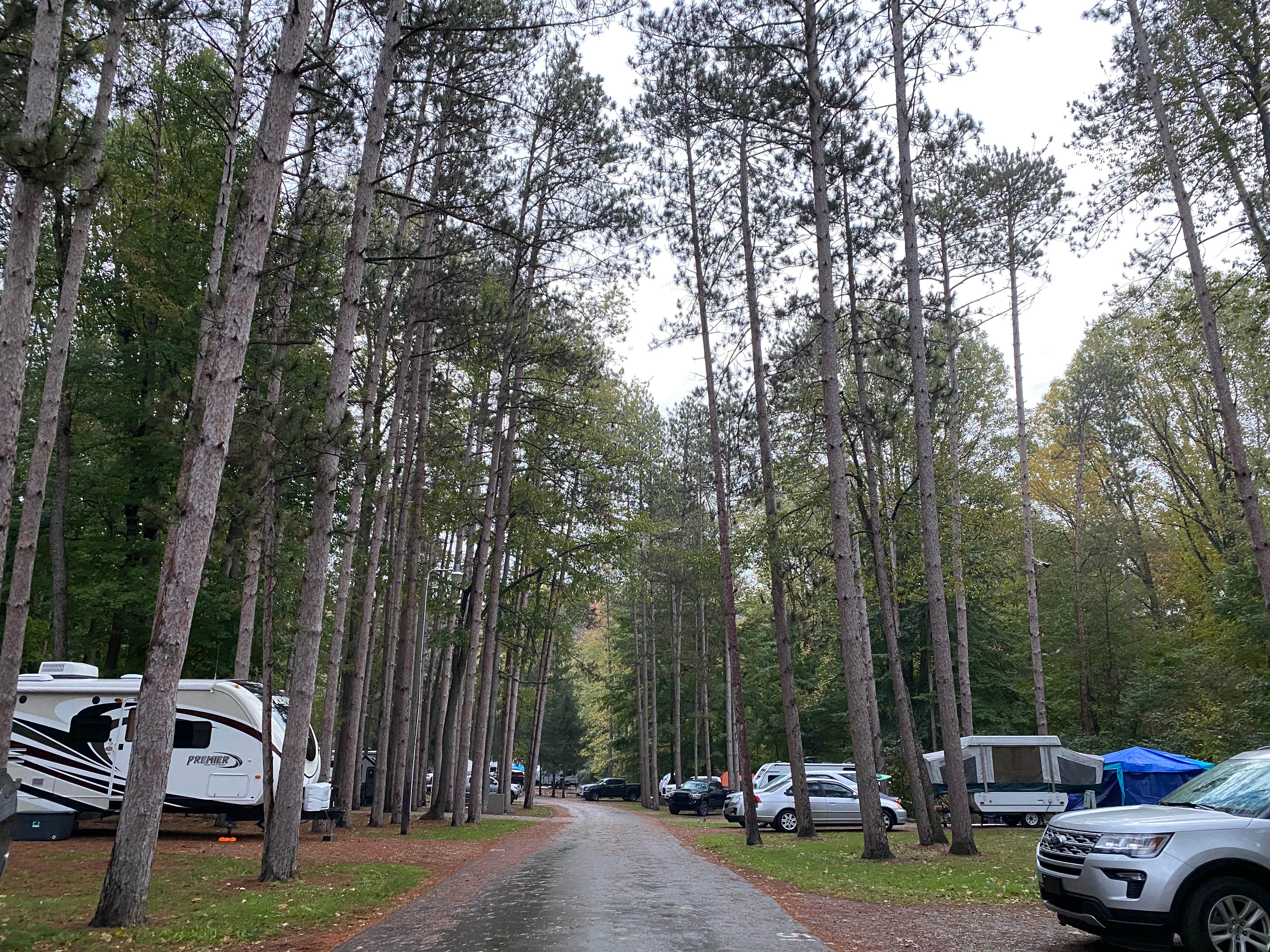 Shannon G.'s photo of rv camping at Mt Gilead State Park Campground near Alum Creek Lake