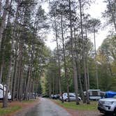 Review photo of Mt Gilead State Park Campground by Shannon G., October 25, 2021