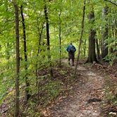 Review photo of Mt Gilead State Park by Shannon G., October 25, 2021