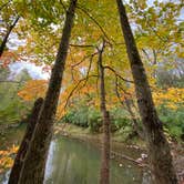 Review photo of Mt Gilead State Park Campground by Shannon G., October 25, 2021