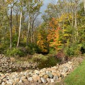 Review photo of Mt Gilead State Park Campground by Shannon G., October 25, 2021