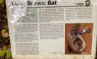 Shannon G.'s photo of camping with pets at Mt Gilead State Park Campground near Nevada, OH