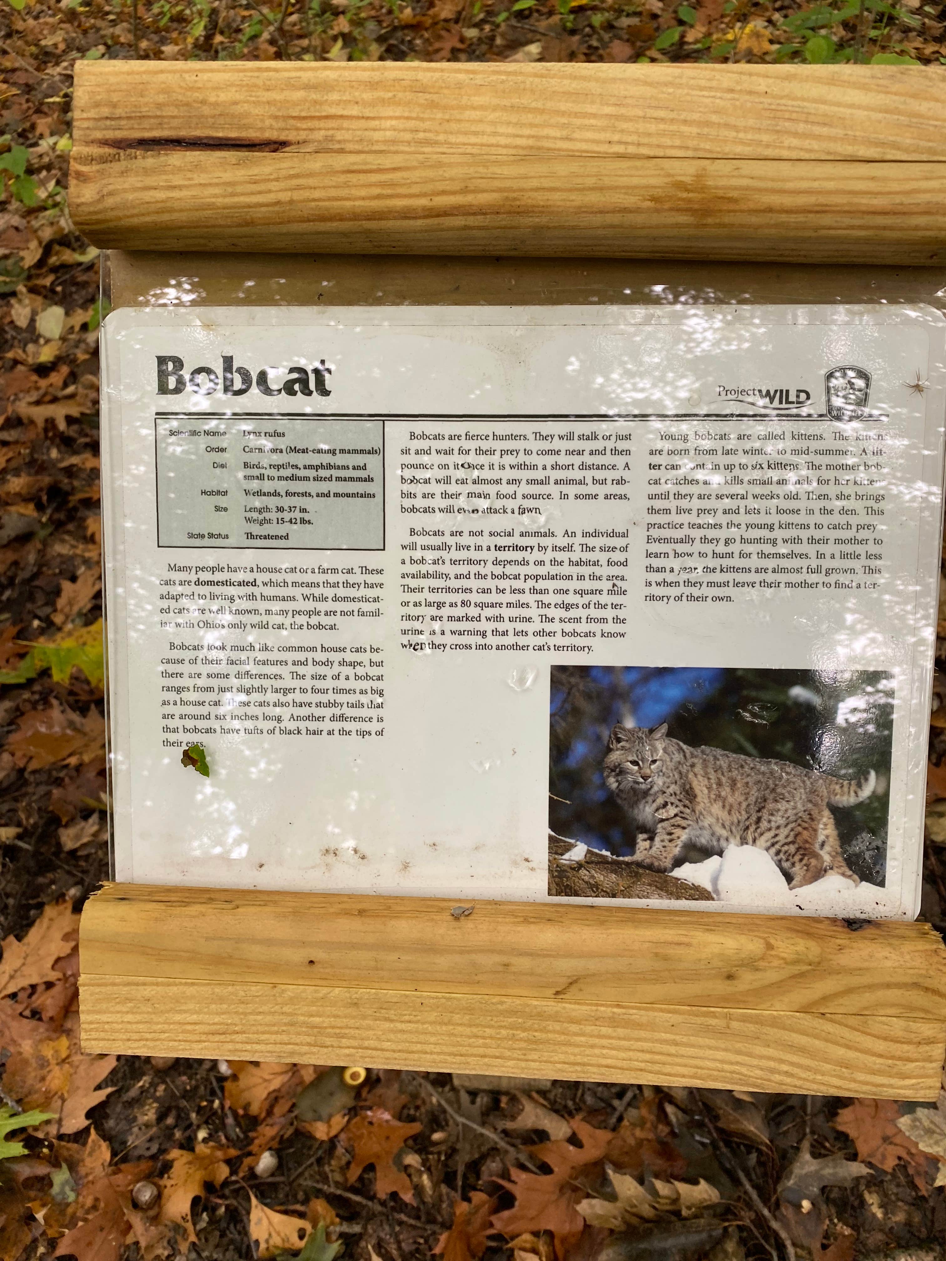 Shannon G.'s photo of camping with pets at Mt Gilead State Park Campground near Mansfield, OH