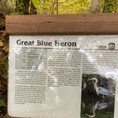 Review photo of Mt Gilead State Park Campground by Shannon G., October 25, 2021