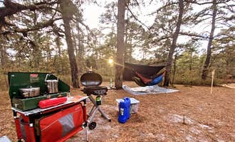 Camping near Hawkins Bridge — Wharton State Forest: Bodine Field — Wharton State Forest, Egg Harbor City, New Jersey