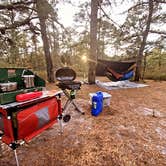 Review photo of Wharton State Forest Bodine Field Campground by Adeline K., October 25, 2021