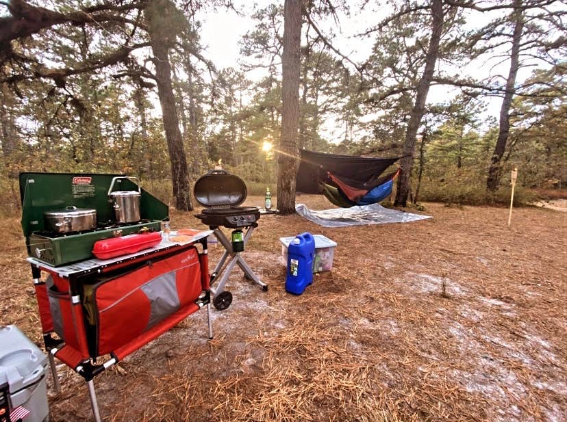 Camper submitted image from Wharton State Forest Bodine Field Campground - 1