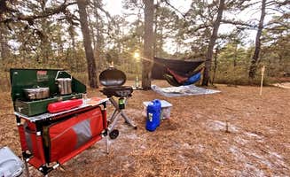 Adeline K.'s photo at Bodine Field — Wharton State Forest near Port Republic, NJ