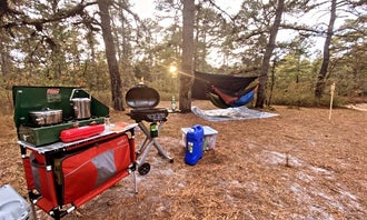 Camping near Atsion Family Camp — Wharton State Forest: Bodine Field — Wharton State Forest, Egg Harbor City, New Jersey