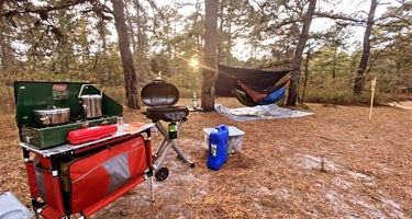 Wharton State Forest Bodine Field Campground