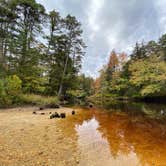 Review photo of Wharton State Forest Bodine Field Campground by Adeline K., October 25, 2021