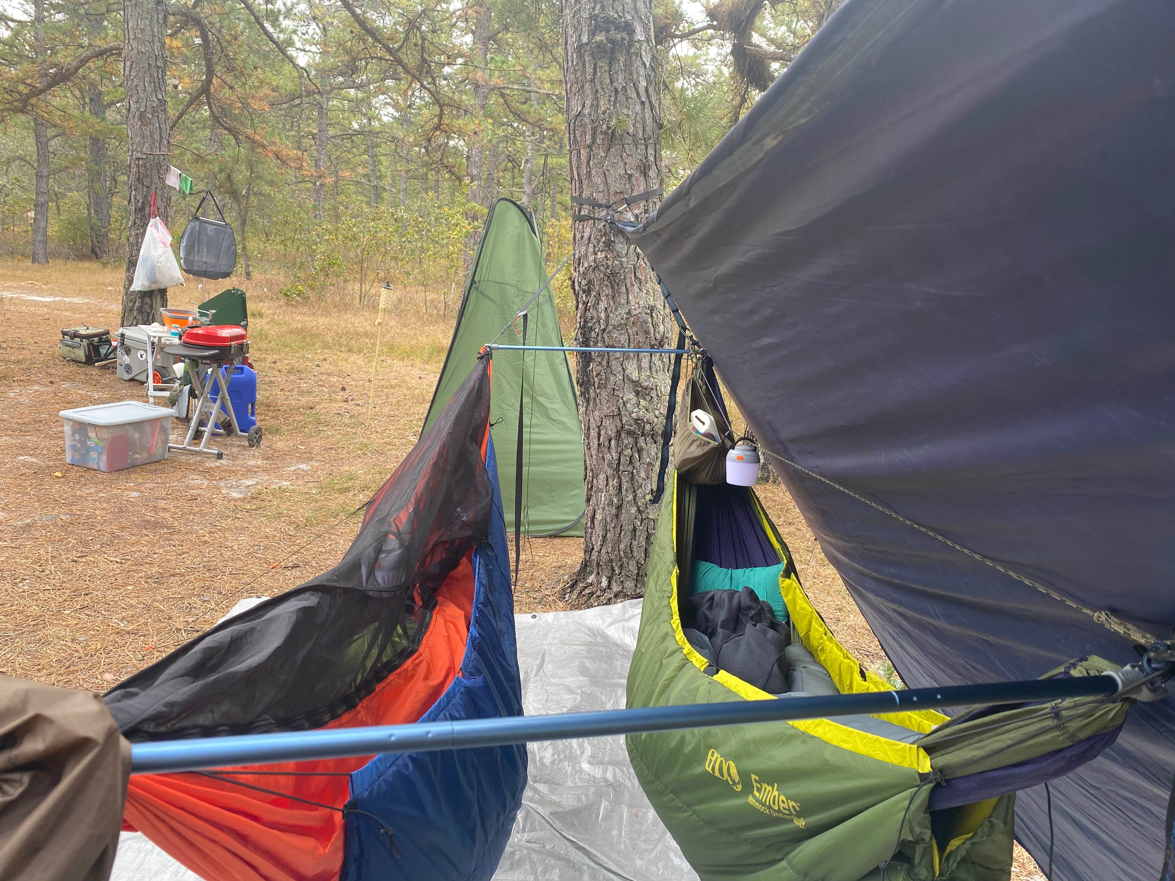Adeline K.'s photo of tent camping at Bodine Field — Wharton State Forest near Fort Washington, PA