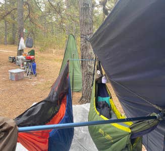 Camper-submitted photo from Bodine Field — Wharton State Forest