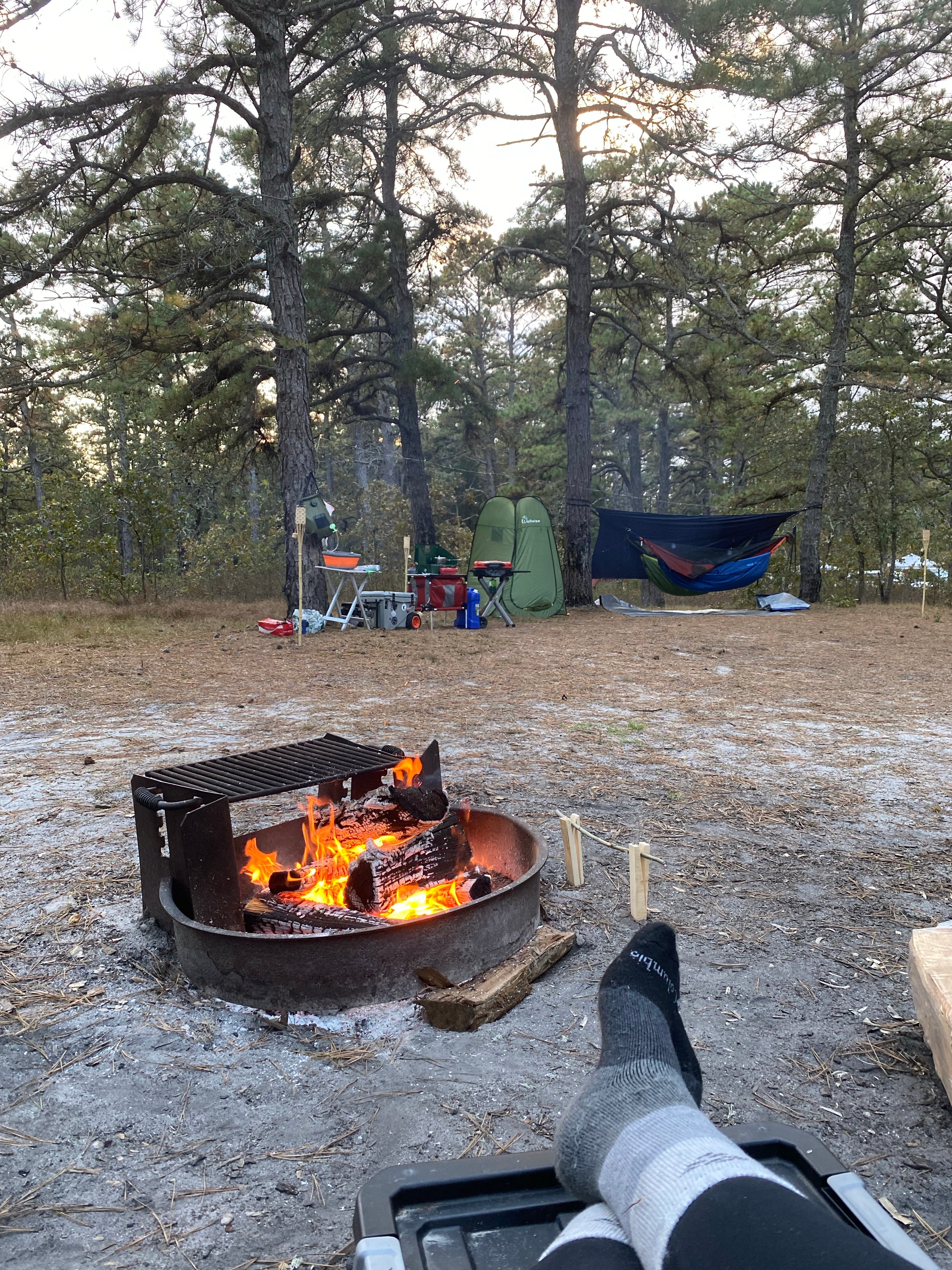 Camper submitted image from Bodine Field — Wharton State Forest - 5