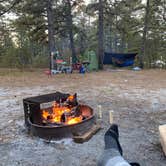 Review photo of Wharton State Forest Bodine Field Campground by Adeline K., October 25, 2021