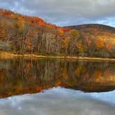 Review photo of Alder lake by Erik C., October 25, 2021