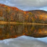 Review photo of Alder lake  by Erik C., October 25, 2021