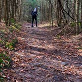 Review photo of Alder lake by Erik C., October 25, 2021