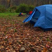 Review photo of Alder lake by Erik C., October 25, 2021