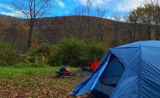 Erik C.'s photo of tent camping at Alder lake in New York
