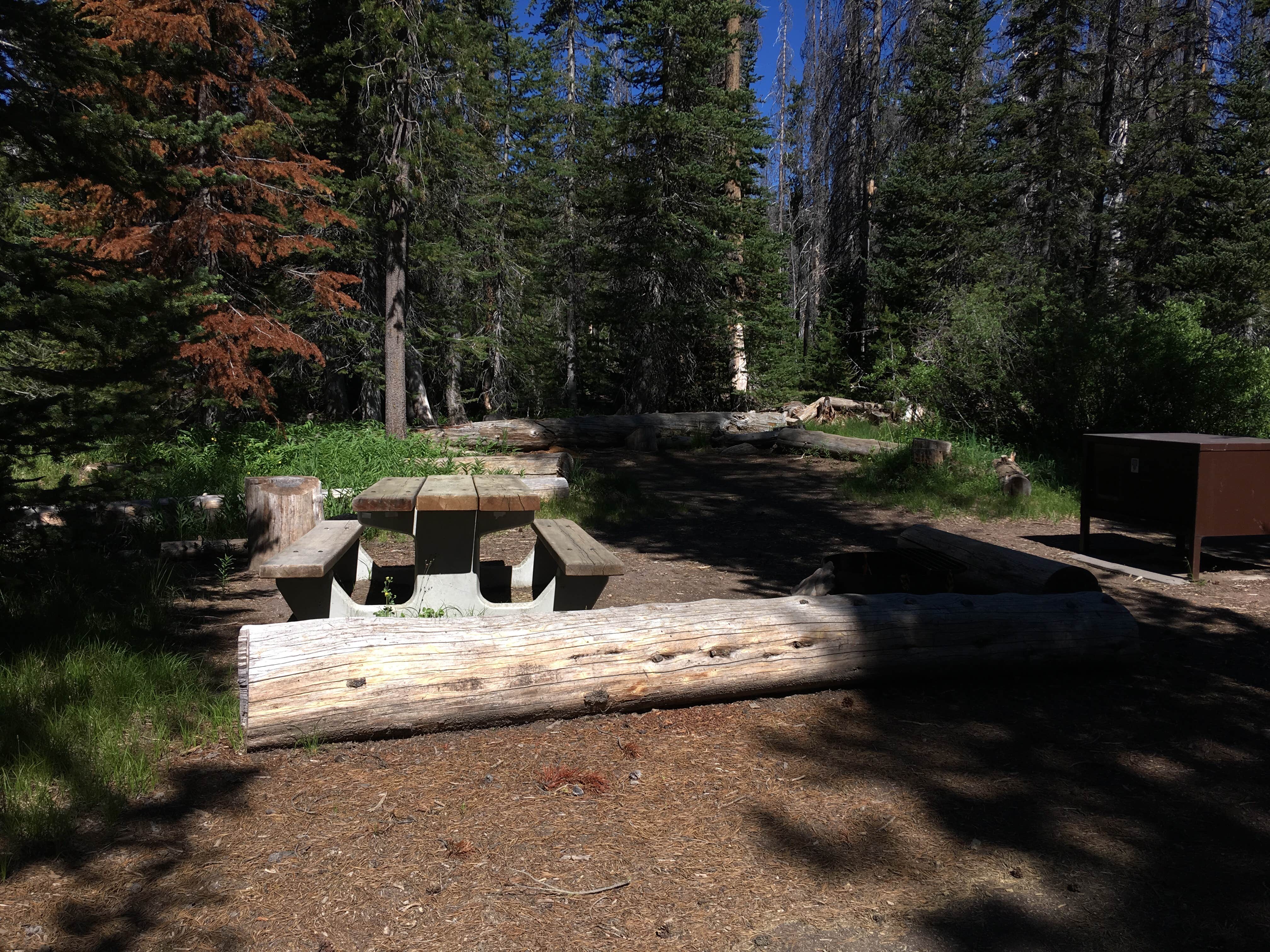 Camper-submitted photo at Lost Creek - Crater Lake National Park near Crater Lake National Park