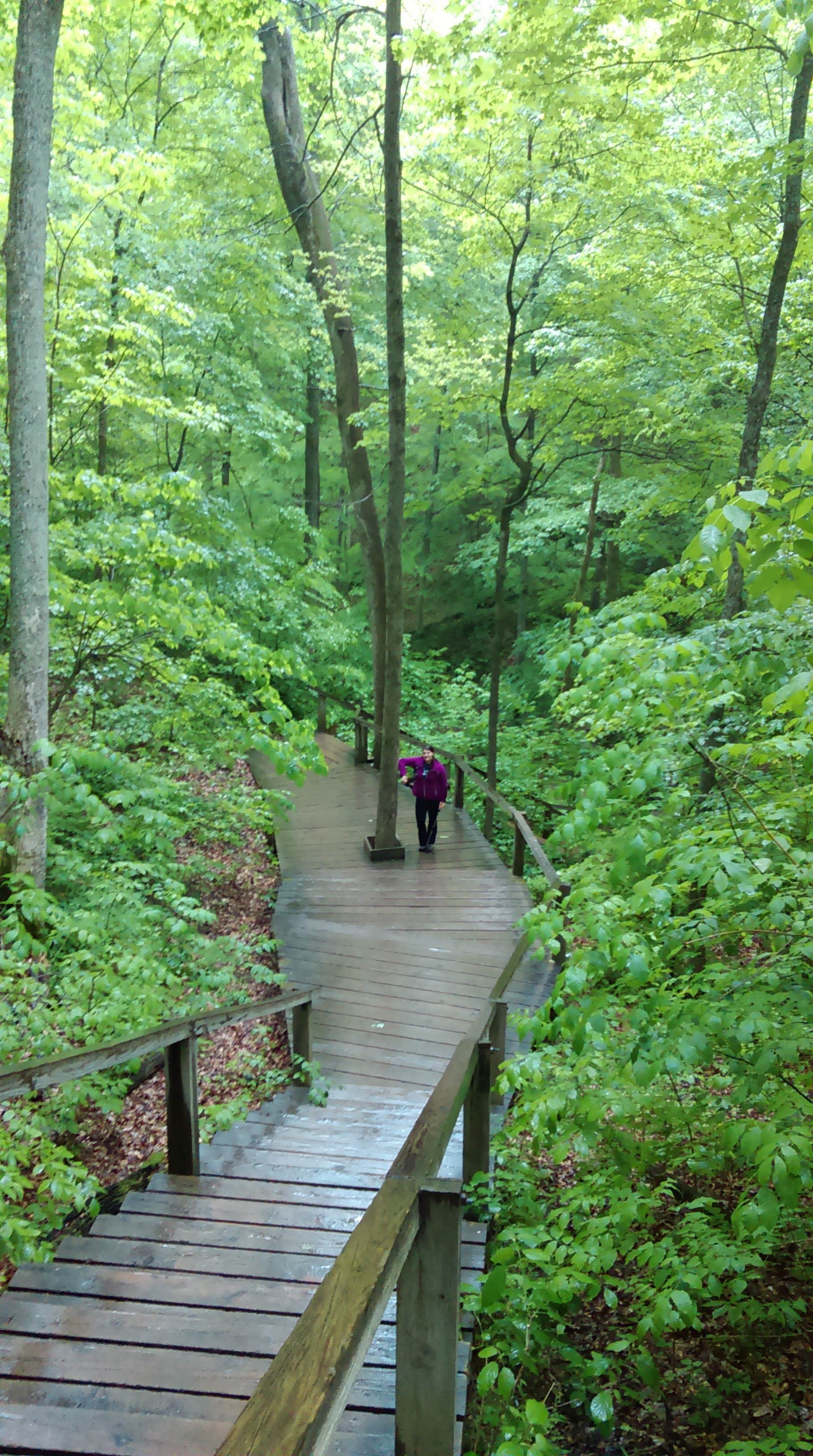 Camper submitted image from Turkey Run State Park Campground - 2