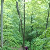 Review photo of Turkey Run State Park Campground by Mike V., July 23, 2016