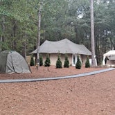 Review photo of Pine Mountain RV Resort by Tammy K., October 25, 2021