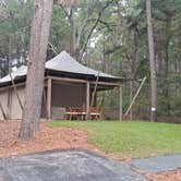 Review photo of Pine Mountain RV Resort by Tammy K., October 25, 2021