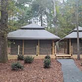 Review photo of Pine Mountain RV Resort by Tammy K., October 25, 2021