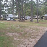 Review photo of Pine Mountain RV Resort by Tammy K., October 25, 2021