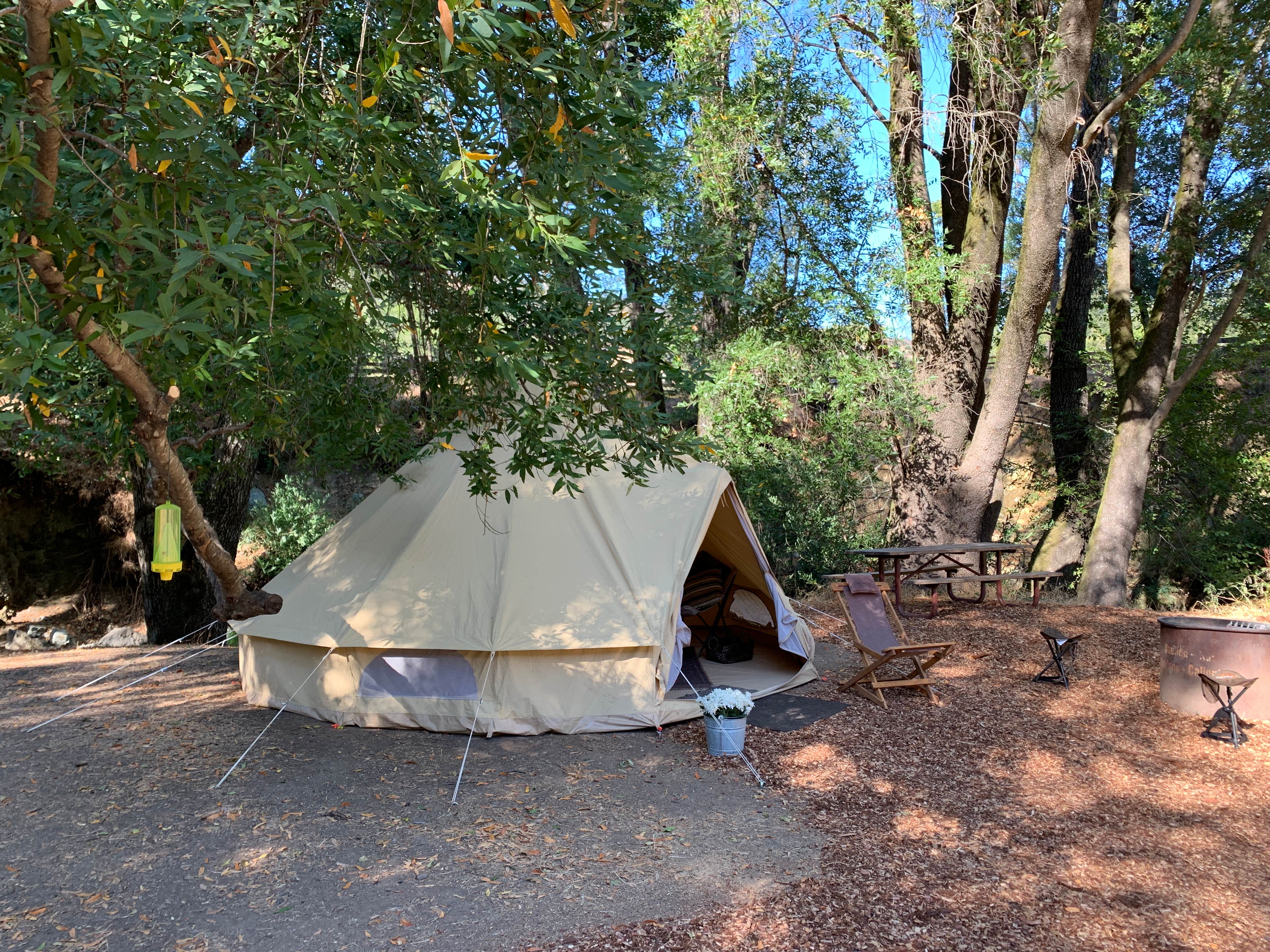 Camper-submitted photo at Sugarloaf Ridge State Park Campground near Winters, CA