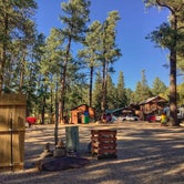 Review photo of Midtown Mountain Campground & RV Park by Michael F., October 25, 2021
