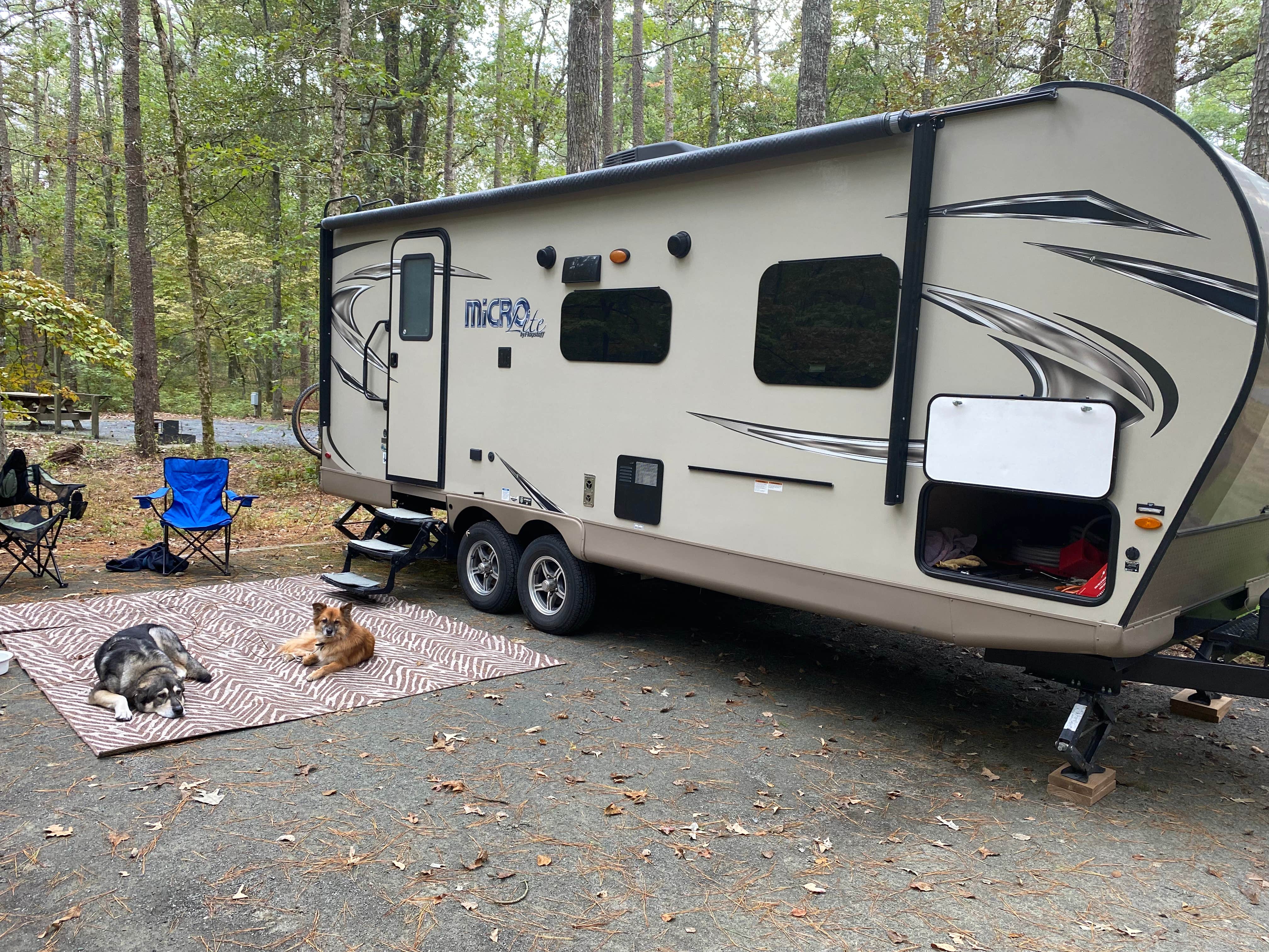 Jan K.'s photo of rv camping at Pocomoke River State Park Campground near Assateague Island National Seashore