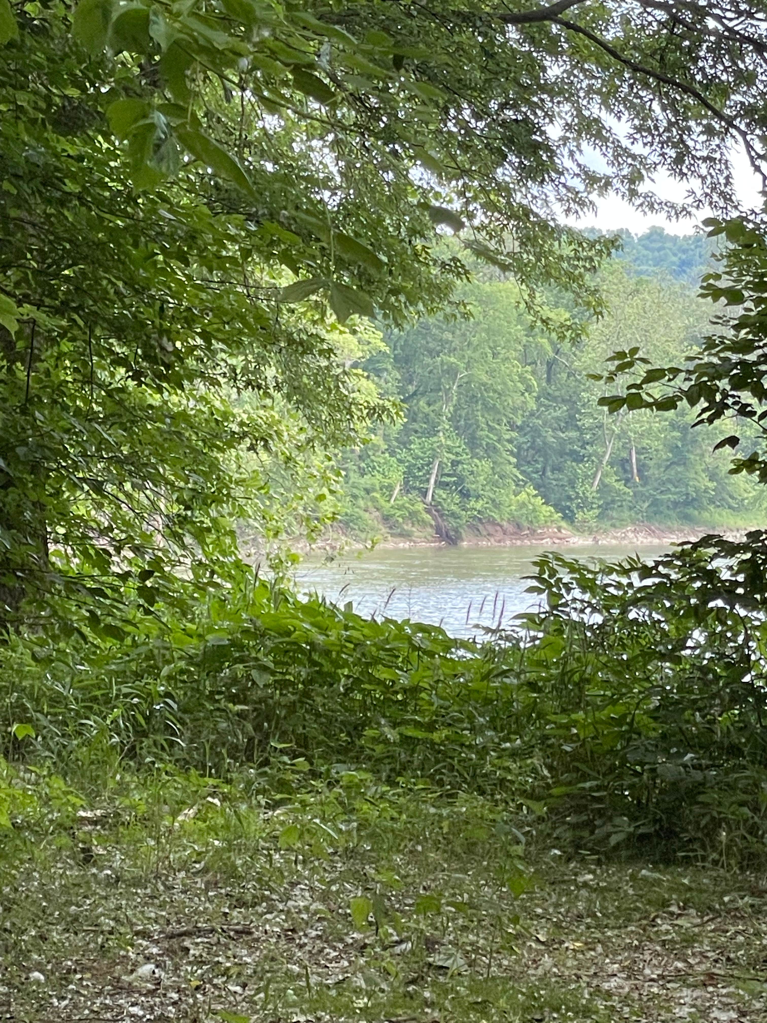 Camper-submitted photo at Camp Cottonwood near Brookville, IN