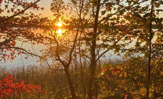 Todd G.'s photo of a dispersed camping area at Harris Brake Lake near Dover, AR