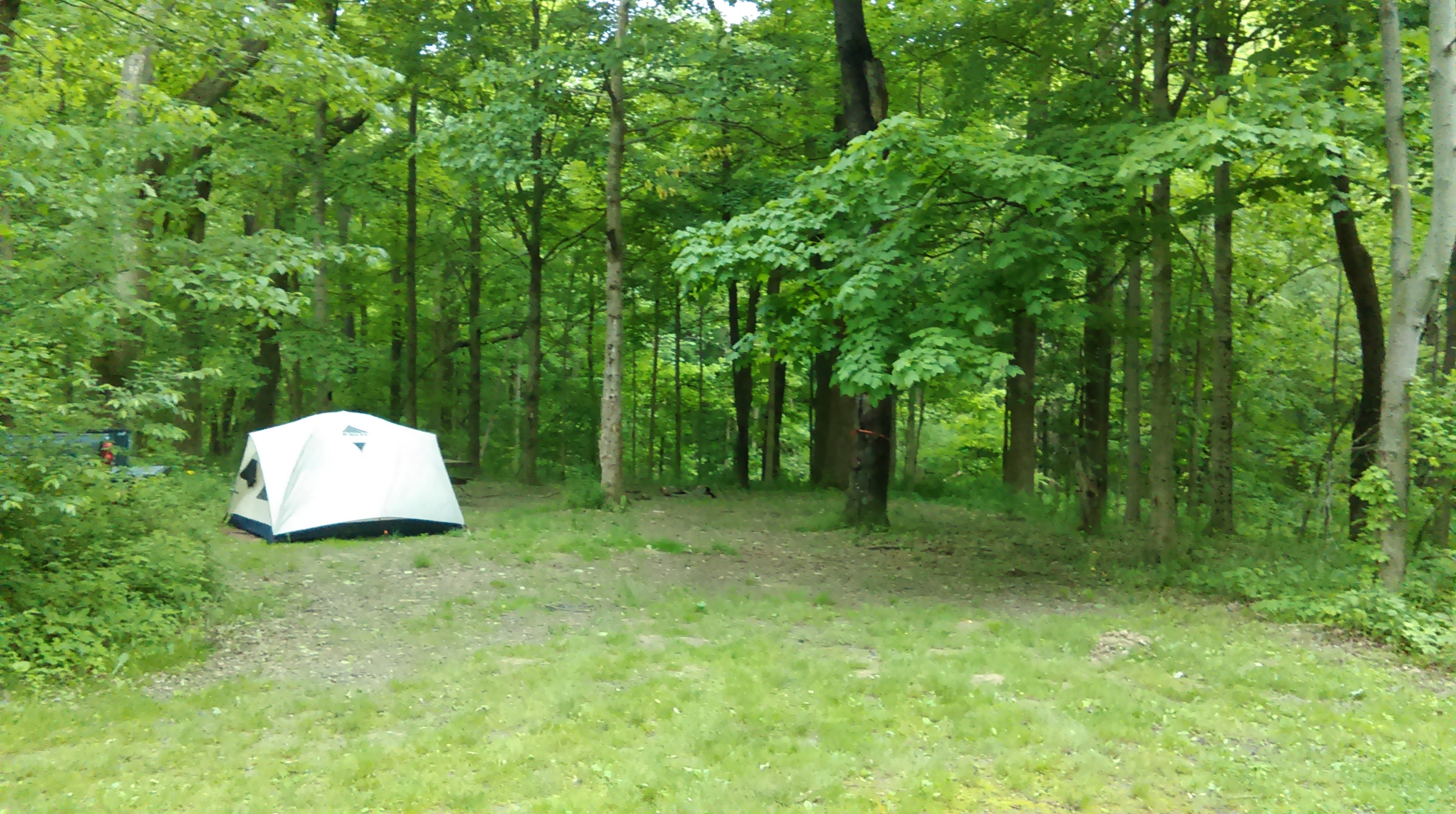 One of the primitive campsites at Waveland Lake and Park. 