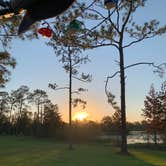 Review photo of Seminole State Park Campground by jessica O., October 26, 2021