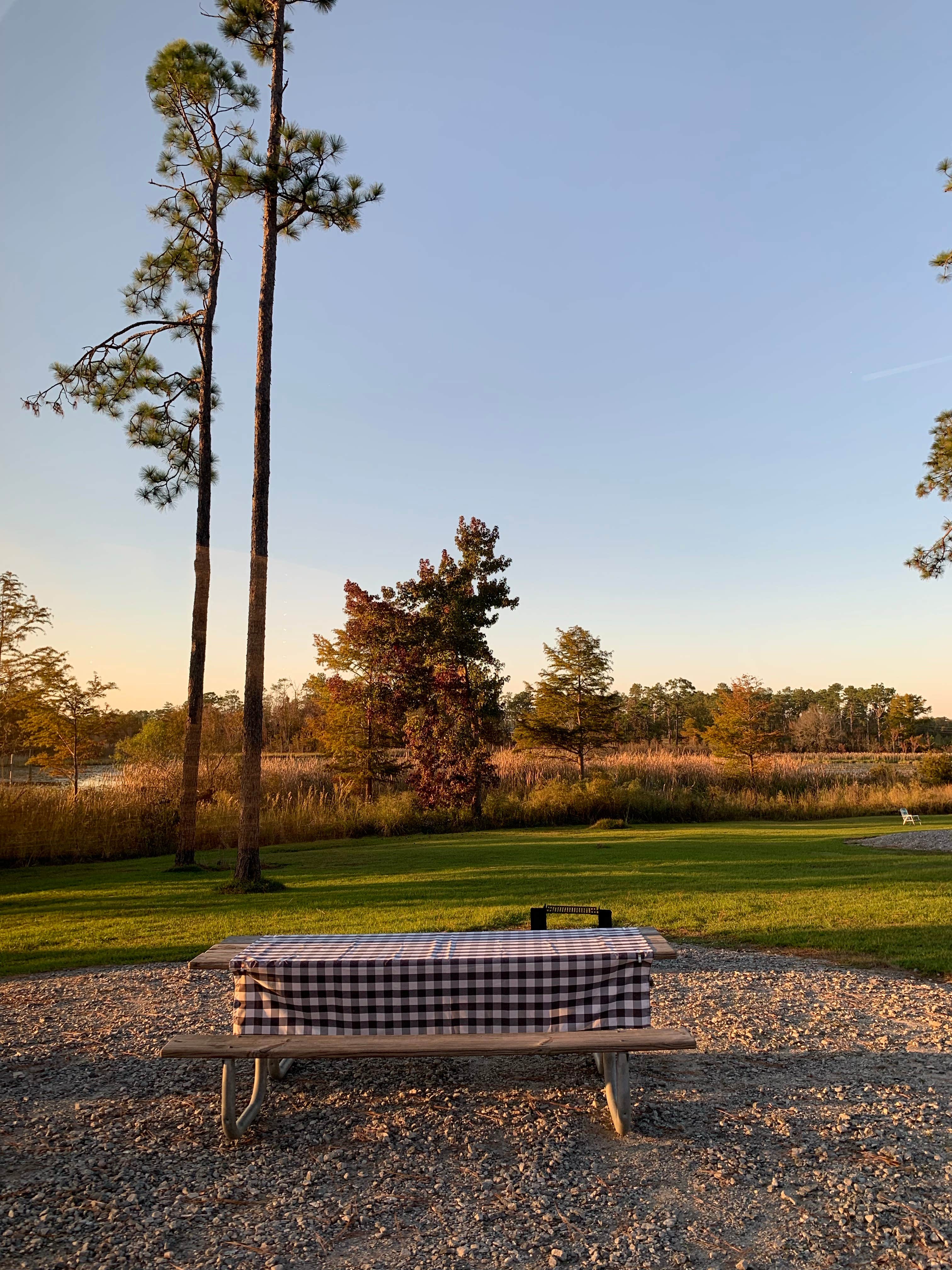 Camper submitted image from Seminole State Park Campground - 4