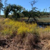 Review photo of Seminole State Park Campground by jessica O., October 26, 2021