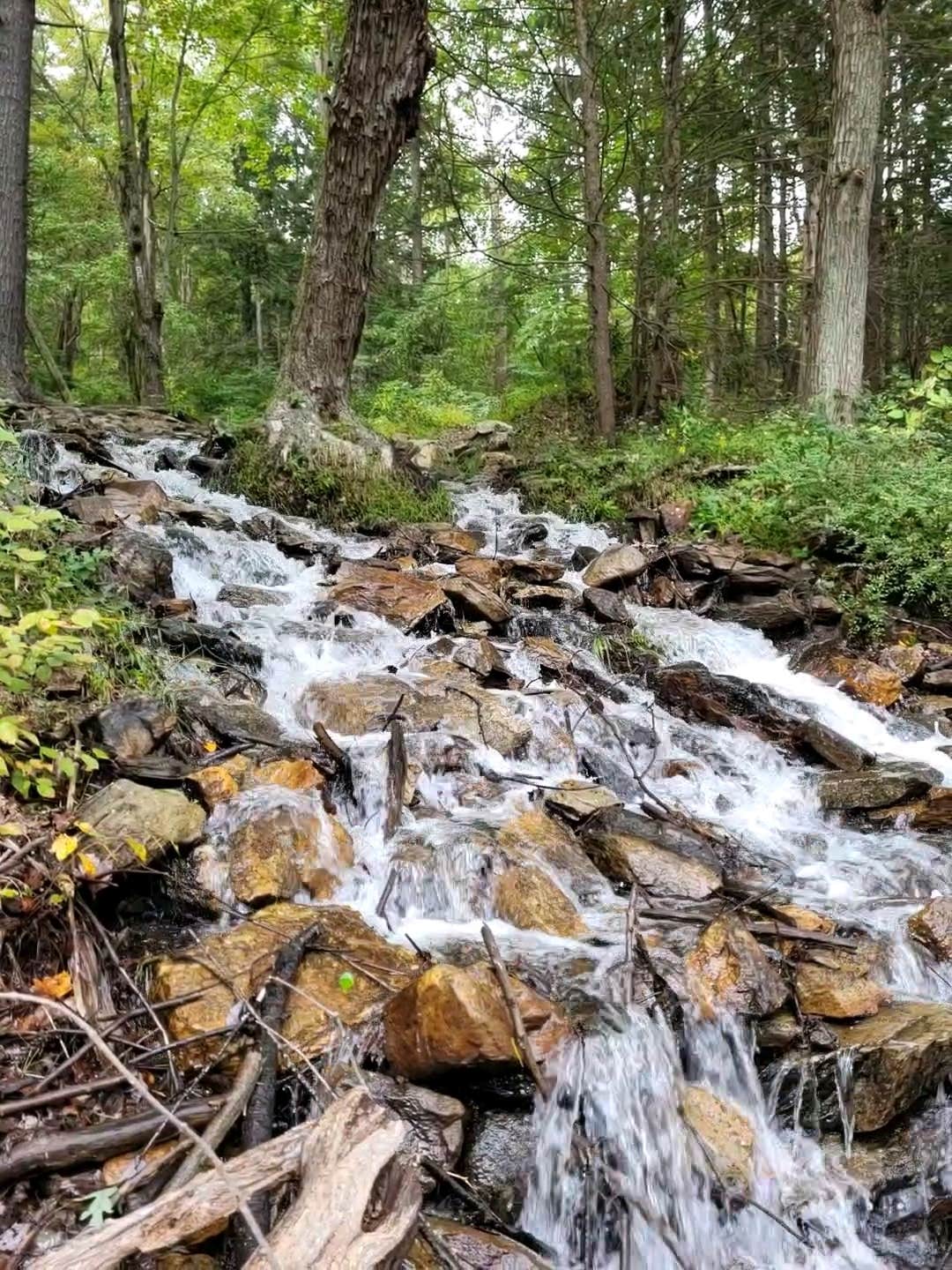Camping near Twin Bridge Campground: Big Flat Parking Area Campsites — Michaux State Forest, Arendtsville, Pennsylvania