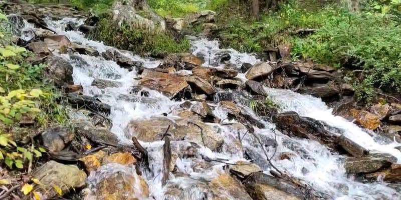 Camper submitted image from Big Flat Parking Area Campsites — Michaux State Forest