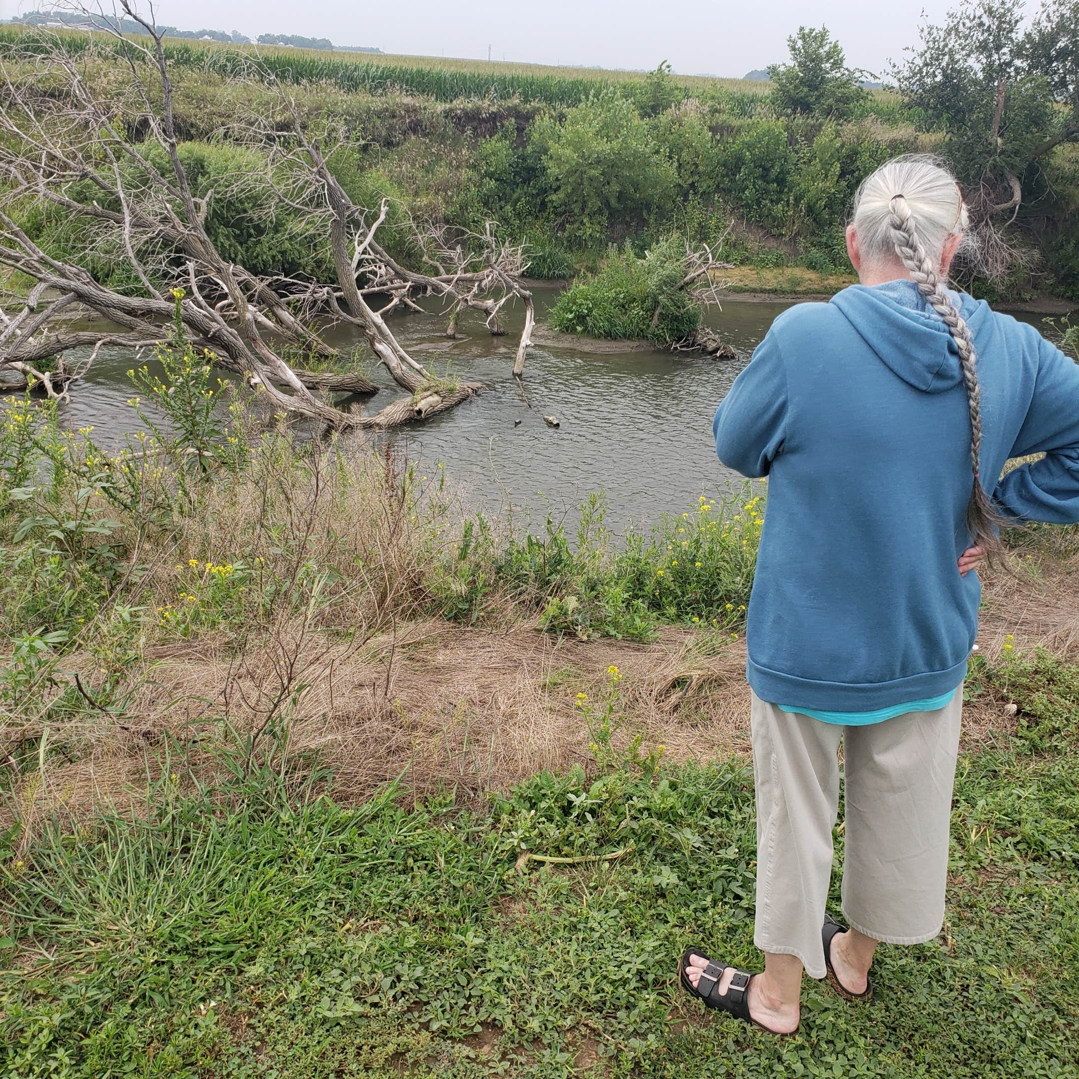 Camper-submitted photo at Oakland City Park near Scribner, NE