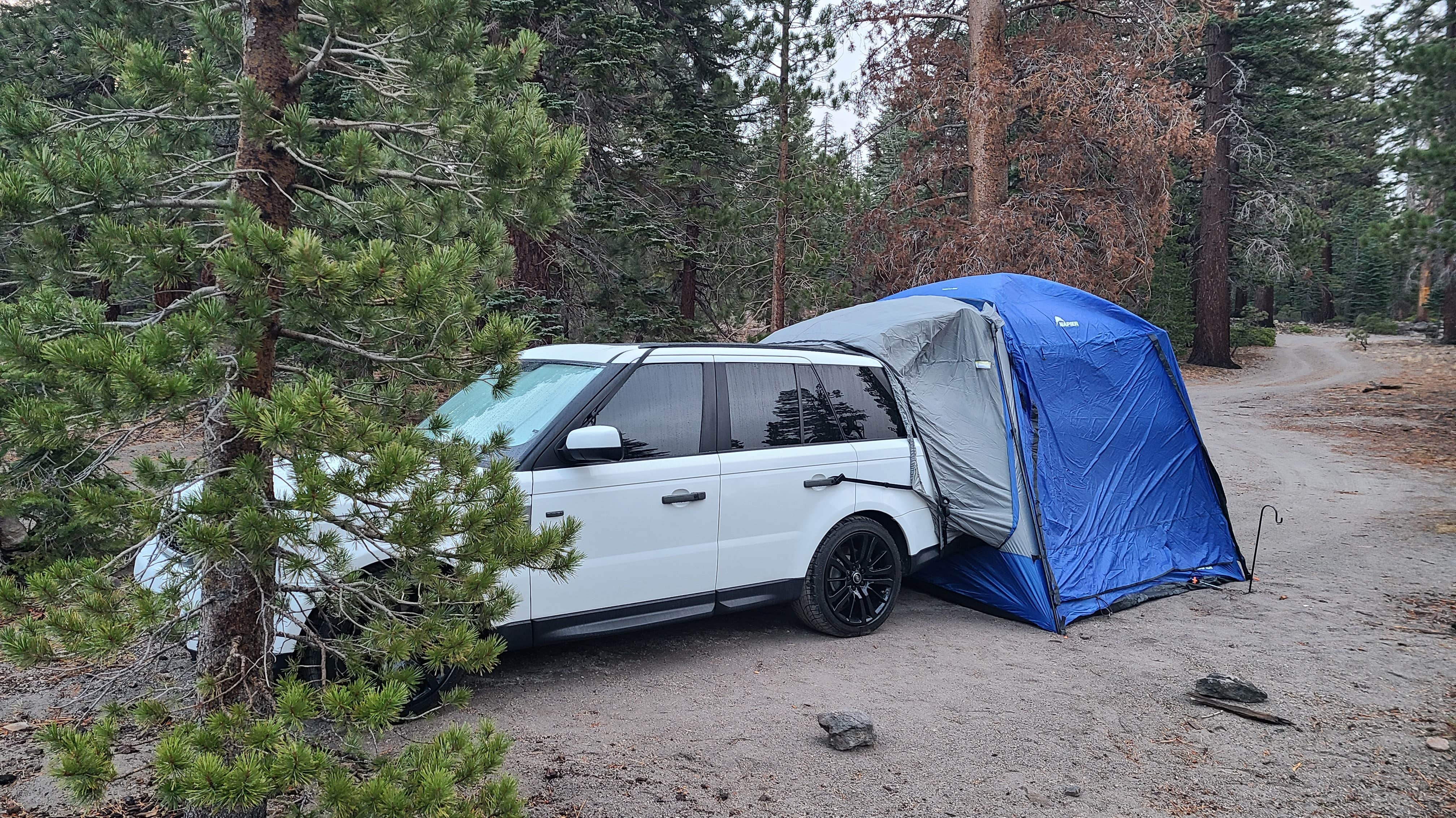 Camper submitted image from Scenic Loop - Dispersed Camping - 2