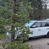Review photo of Scenic Loop - Dispersed Camping by Dana W., October 26, 2021