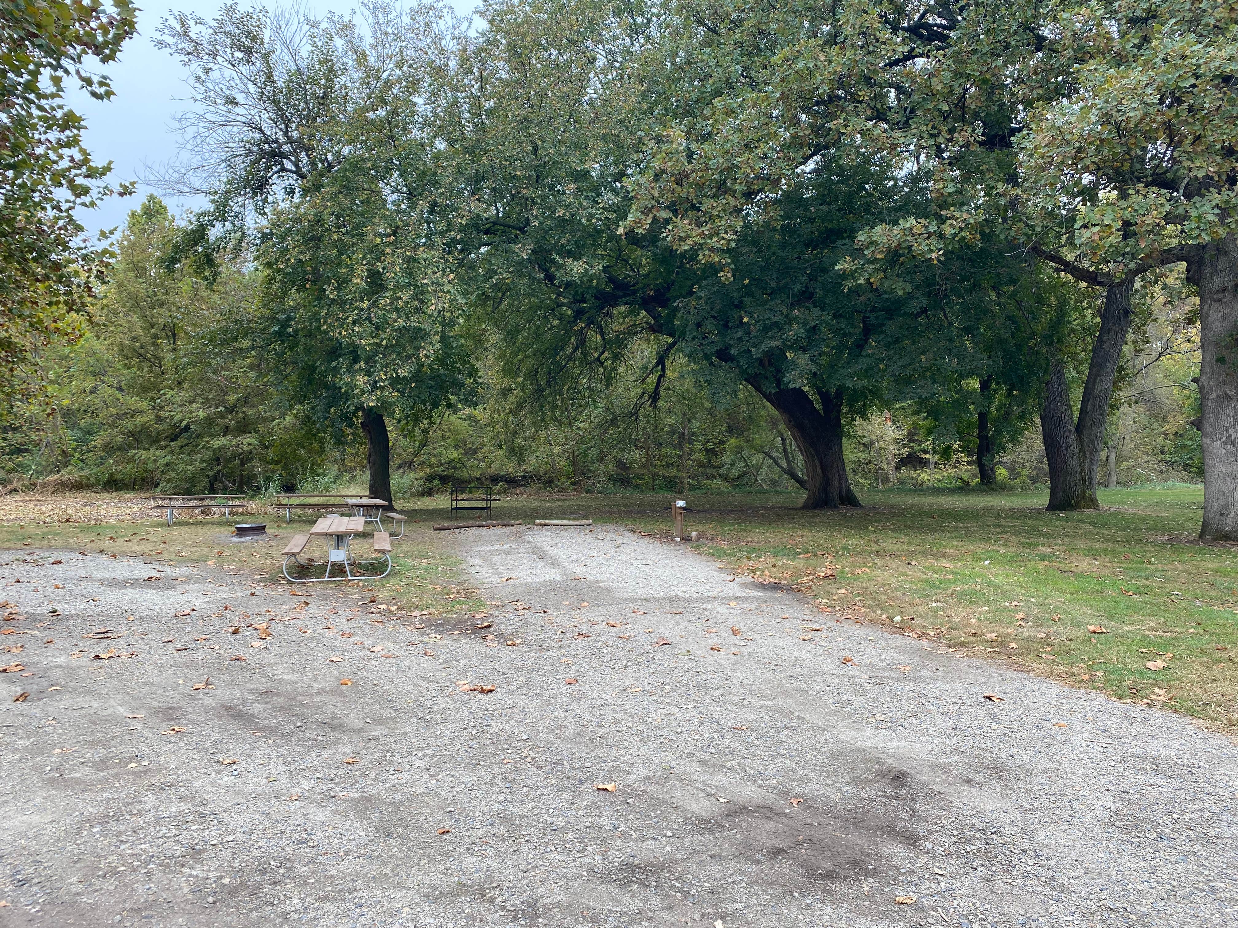 Camper submitted image from Sycamore Springs Whitetail Ranch RV Park - 1