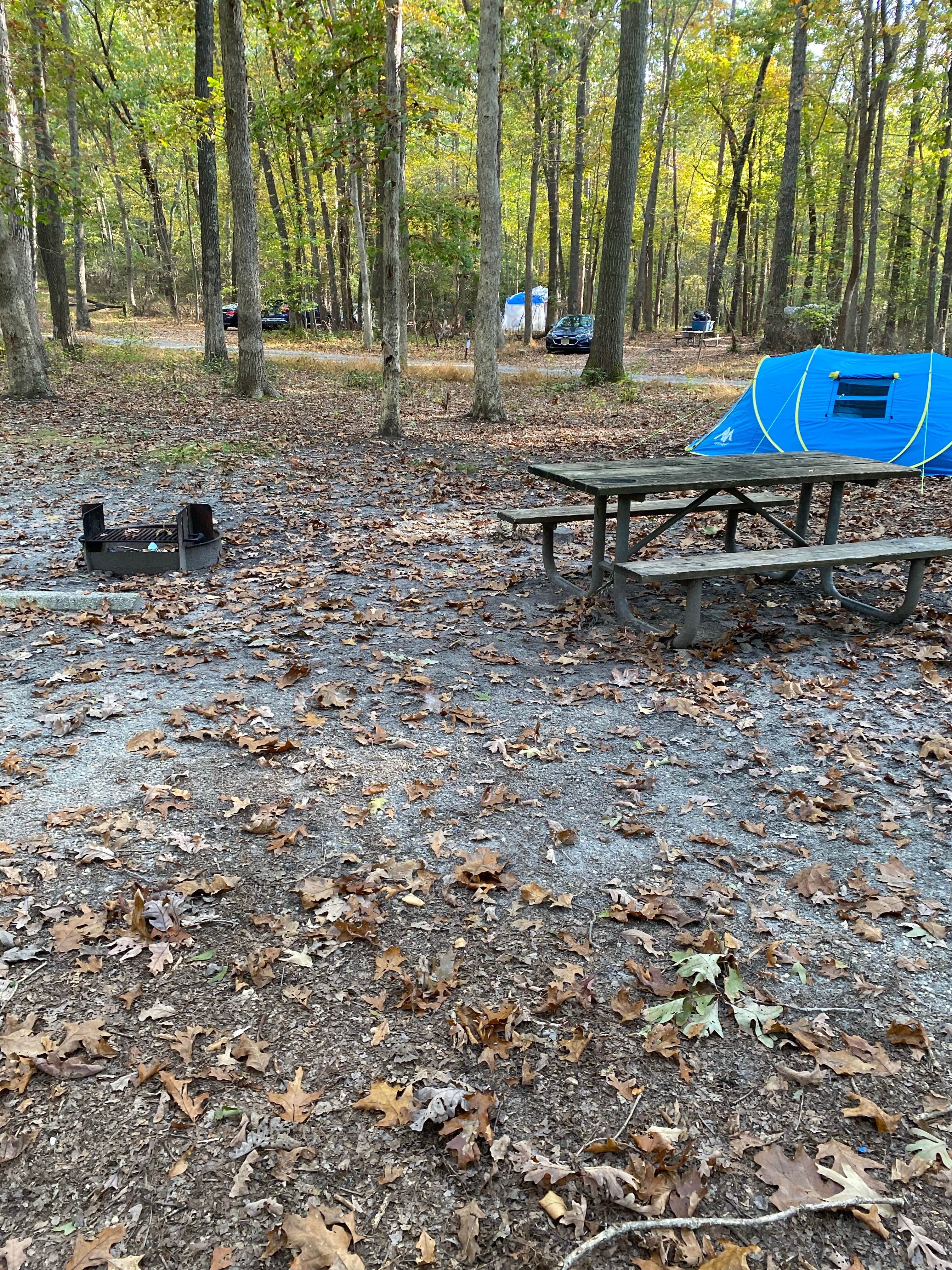 jacquelyn G.'s photo at Allaire State Park - TEMPORARILY CLOSED near Carteret, NJ