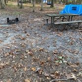 Review photo of Allaire State Park - TEMPORARILY CLOSED by jacquelyn G., October 26, 2021
